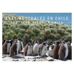 TOP10BOOKS - LIBRO CALENDARIO AVES AUSTRALES EN CHILE / EDICIONES MAC KAY /