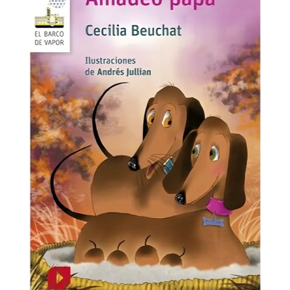 TOP10BOOKS - LIBRO Amadeo Papá - Amadeo Papá