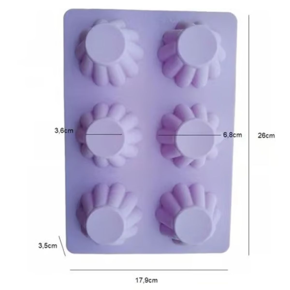 GENERICO - Moldes 6 Espacios Panecillo 3D