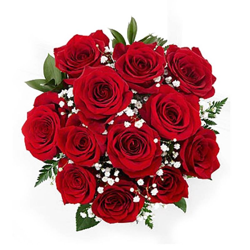GENERICO - Ramo de 12 Rosas Rojas (Flores Naturales)