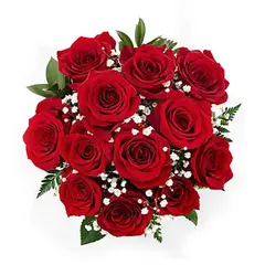 GENERICO - Ramo de 12 Rosas Rojas (Flores Naturales)
