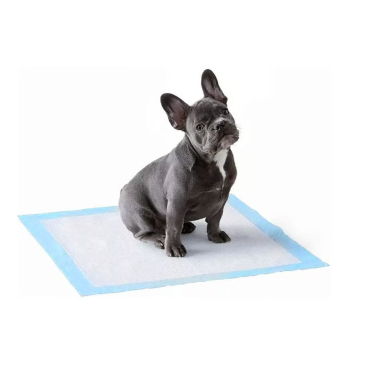 GENERICO - Sabanillas De Entrenamiento Para Perros 30 Unidades 60x60