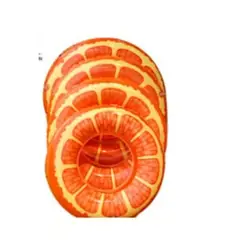 GENERICO - Flotador Anillo Diseño De Naranja 60 Cm