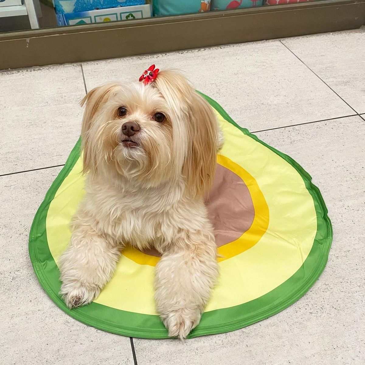 MELY PATITAS - Manta refrigerante para mascotas forma de palta
