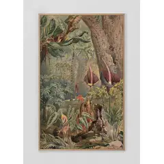 GENERICO - Cuadro Decorativo Set Cuadros Mural jungla