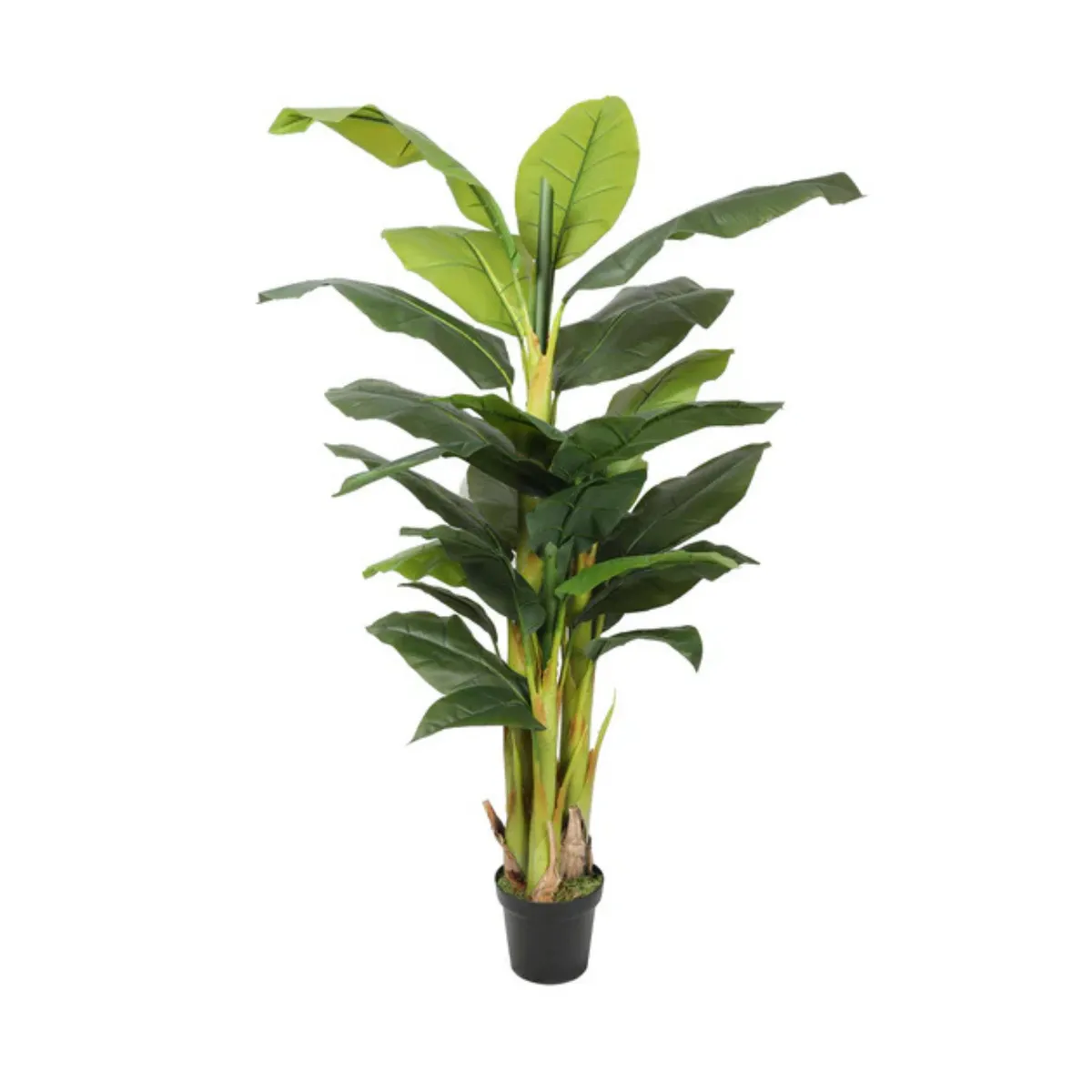 VADELL - Banano Artificial de 180 cm, 5 Tallos y 22 Hojas