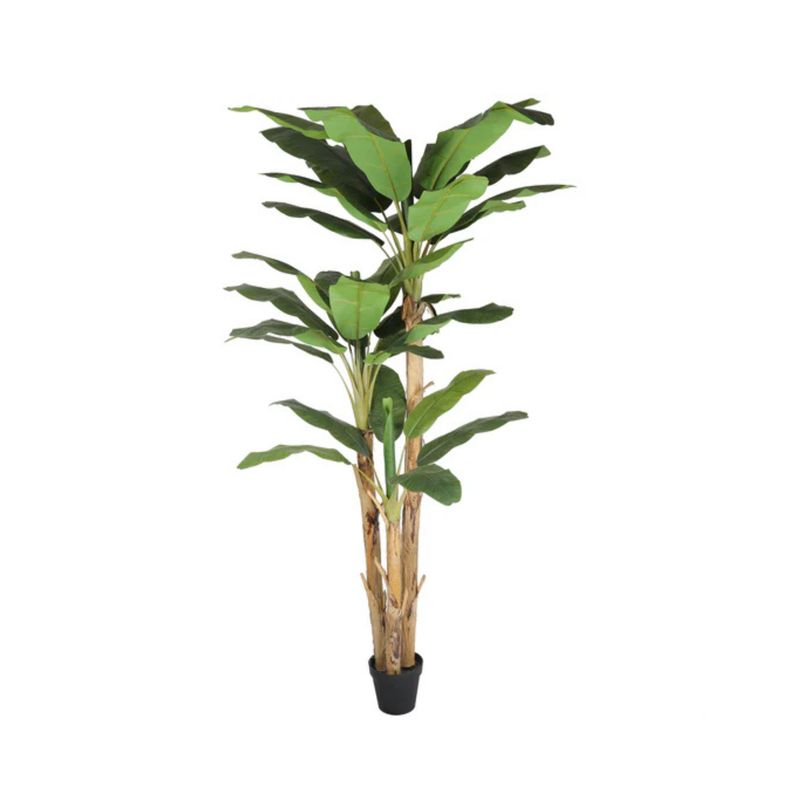VADELL - Banano Artificial De 280 Cm. 3 Tallos Y 36 Hojas