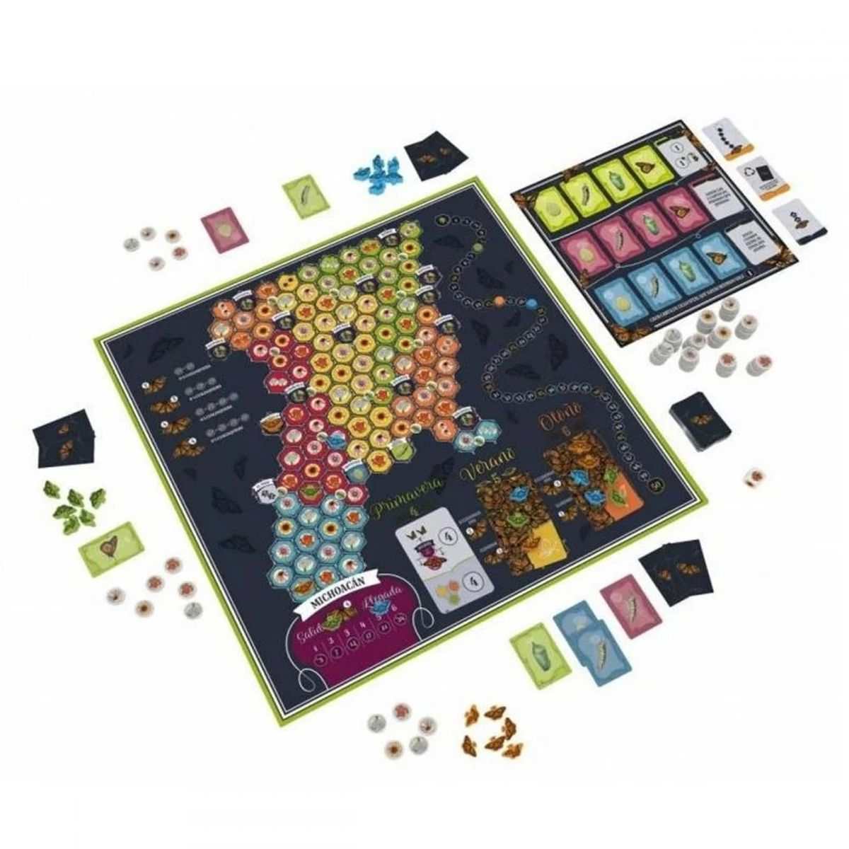 TOP10BOOKS - JUEGO Mariposas