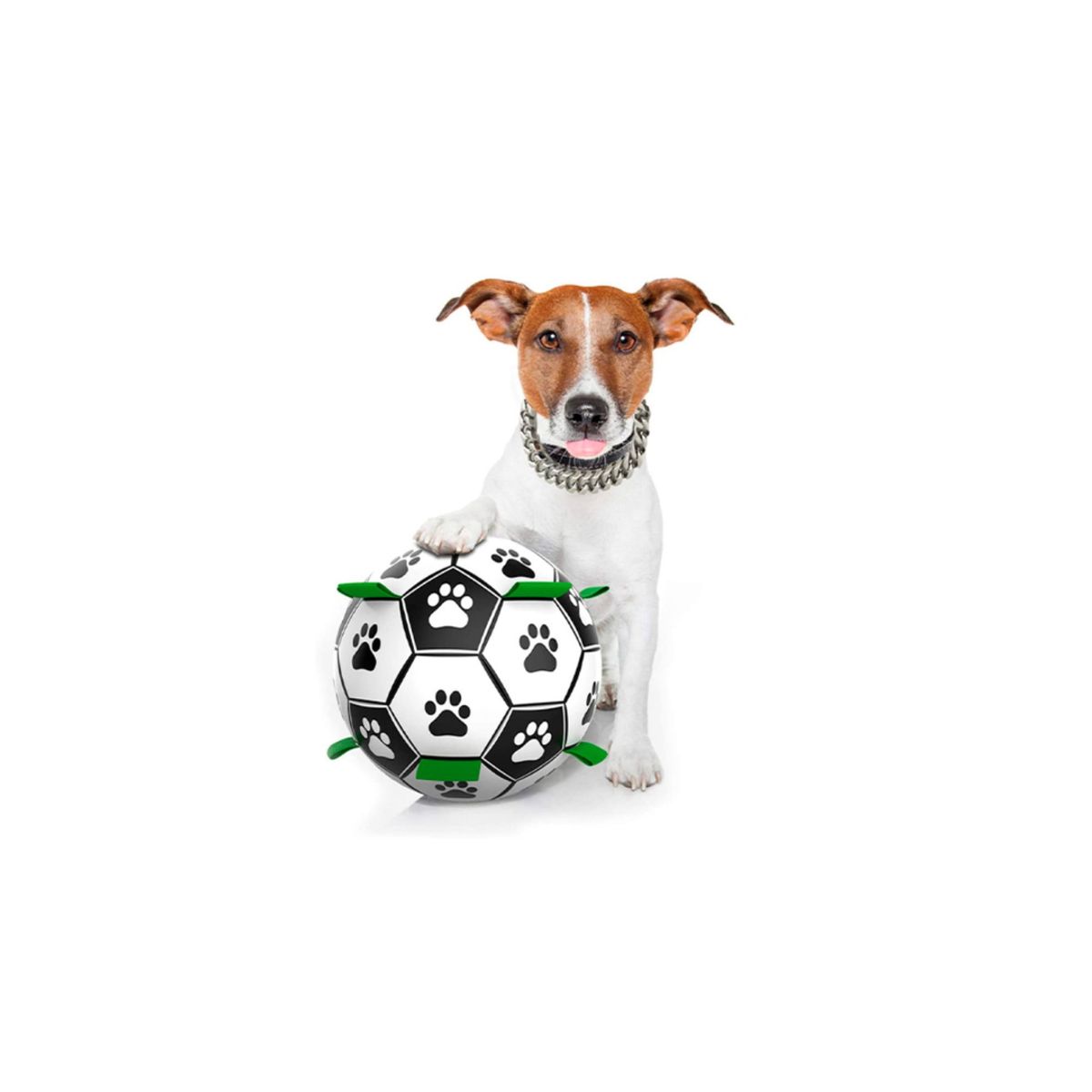 GENERICO - Pelota Interactiva Grande Con Agarre Para Perros