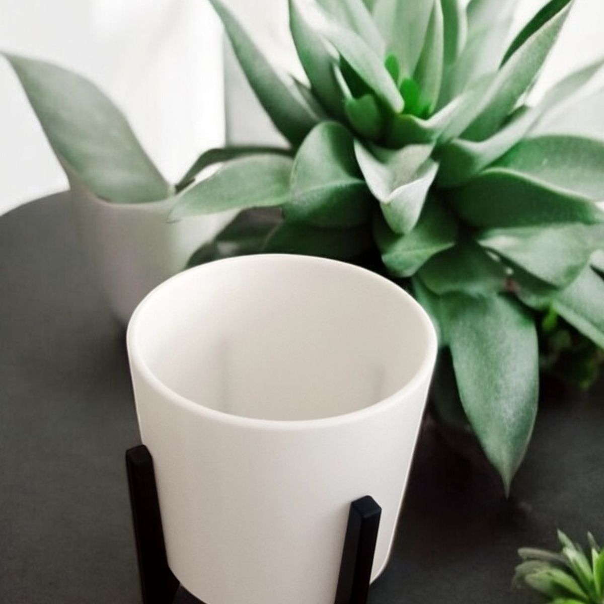 GENERICO - Macetero para Suculenta