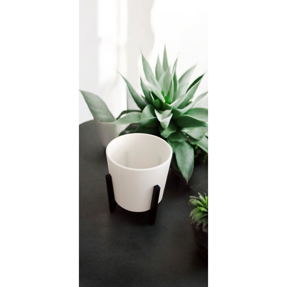 GENERICO - Macetero para Suculenta