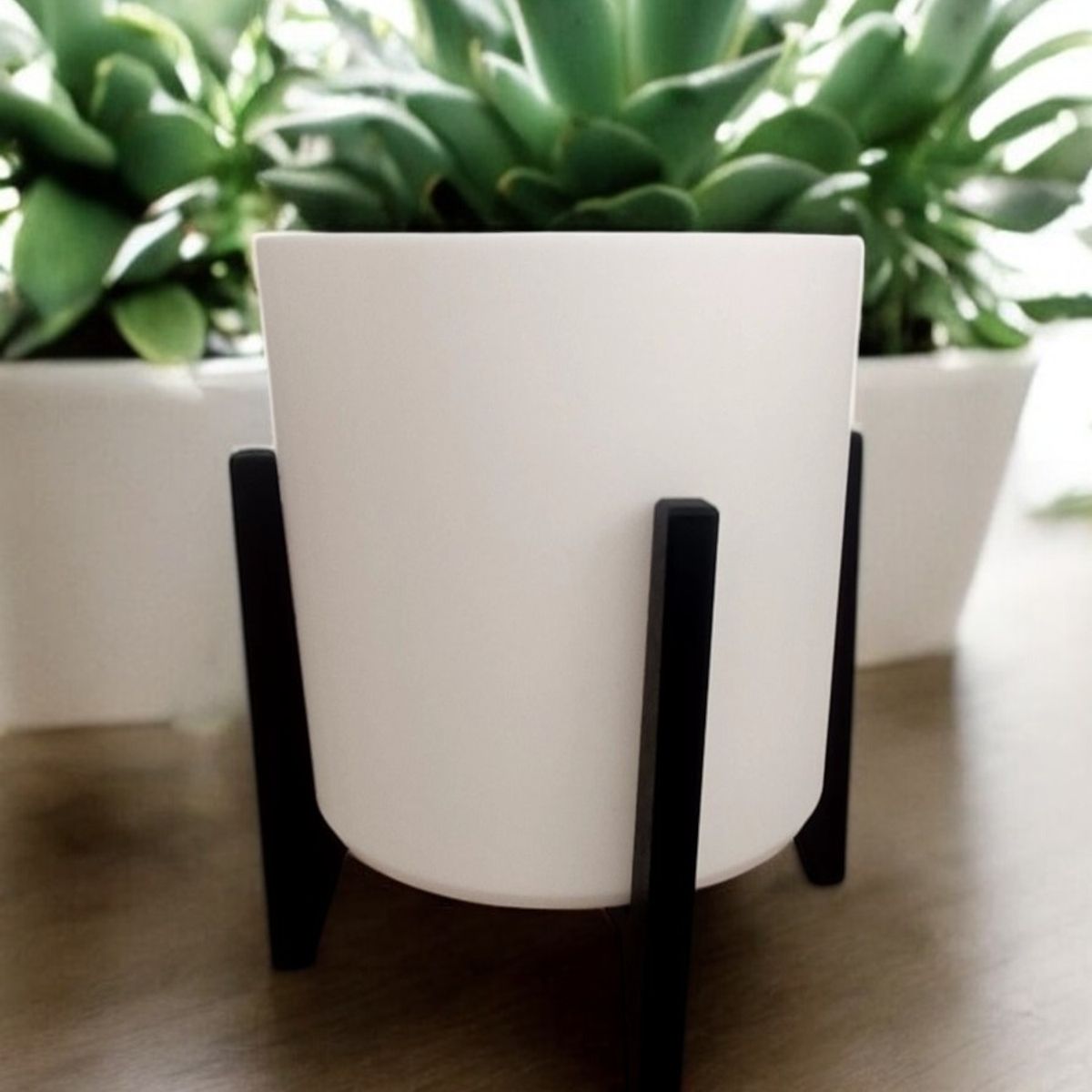 GENERICO - Macetero para Suculenta