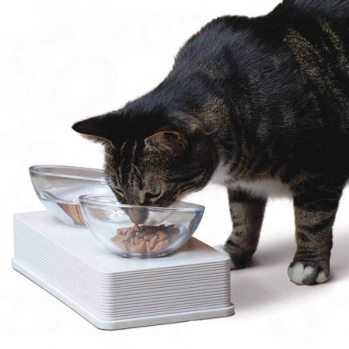 CATIT - Comedero Doble de Vidrio Catit 200ml para Gatos