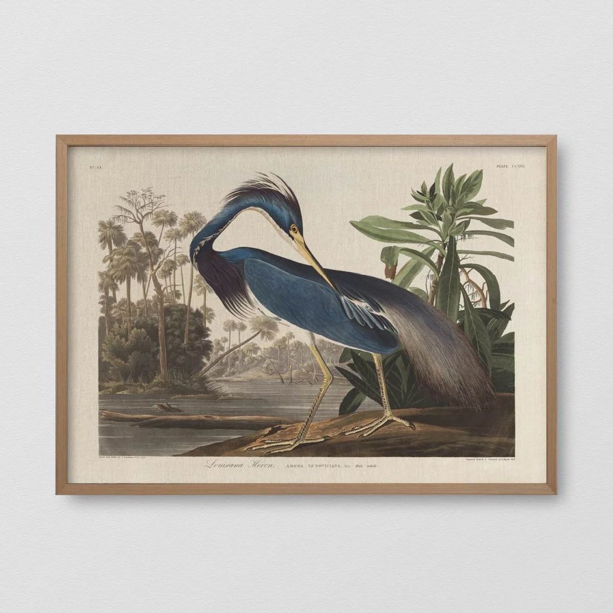 GENERICO - Cuadro Decorativo Mural garza azul