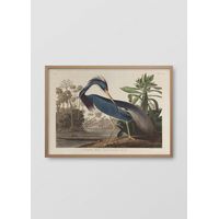 Cuadro Decorativo Mural garza azul