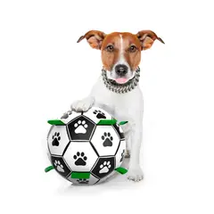 GENERICO - Juguete Pelota con tiras para perros + bombin 18cm - Verde - 18cm