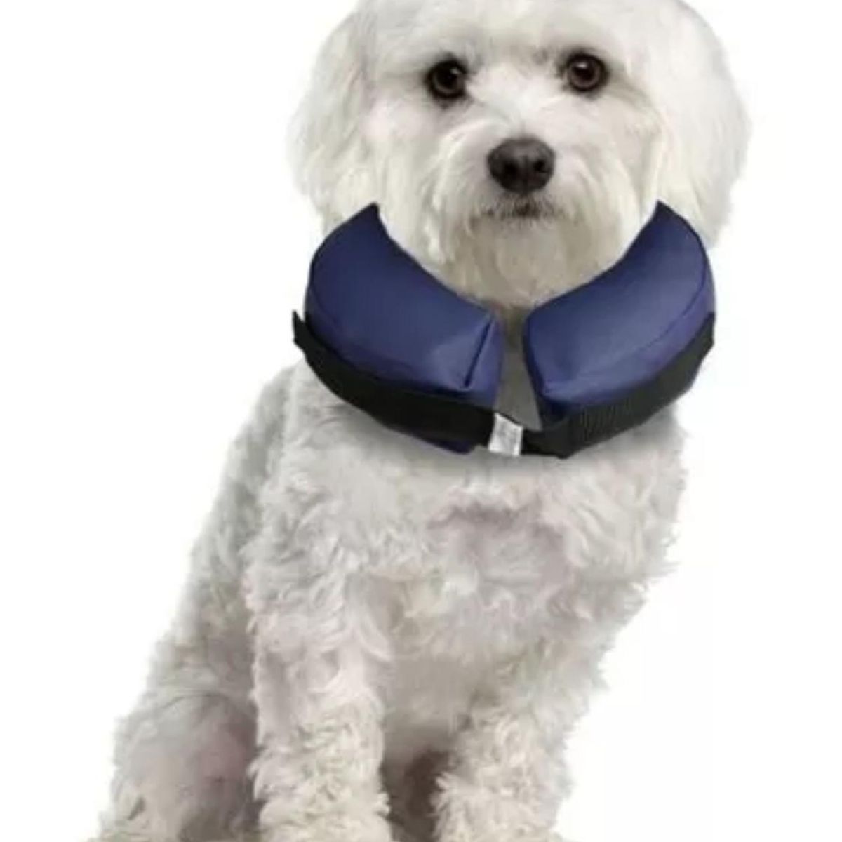 GENERICO - Collar Isabelino Inflable Para Mascotas Talla Xl
