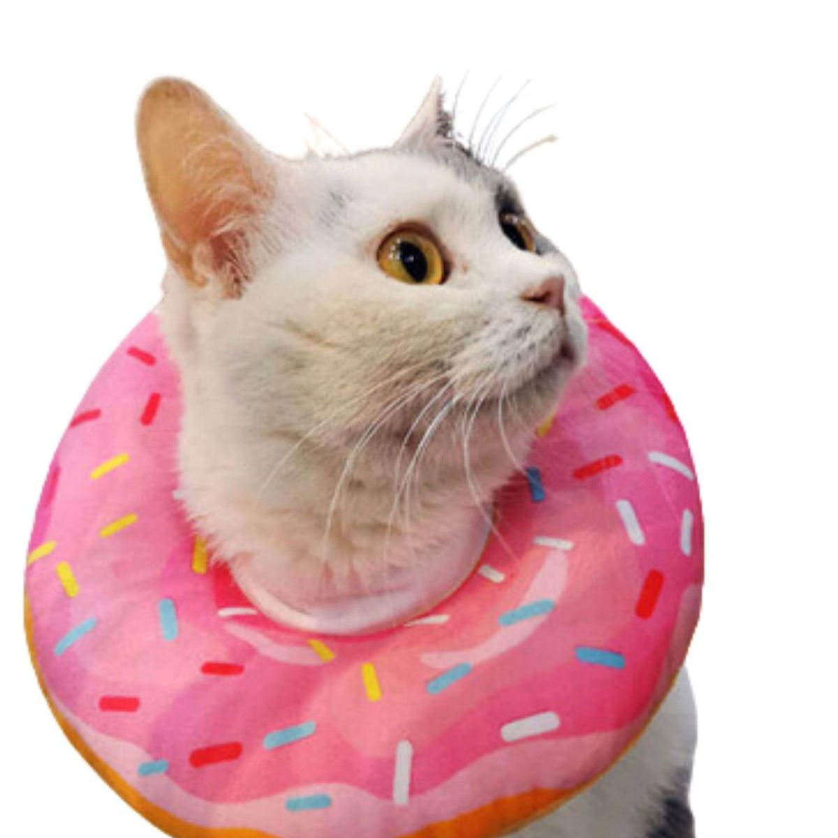GENERICO - Collar Dona Para Mascotas Anti-lamido Talla S - Rosa - S