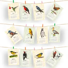 BENDITO - Calendario Aves de Chile 2025