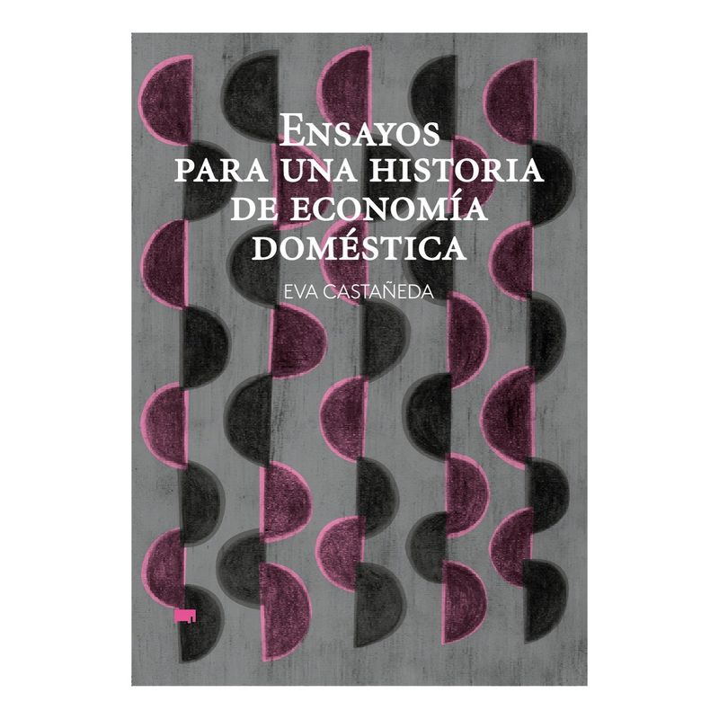 TOP10BOOKS - LIBRO ENSAYOS PARA UNA HISTORIA DE ECONOMÍA DOMÉSTICA / EVA CASTAÑEDA / ELEFANT