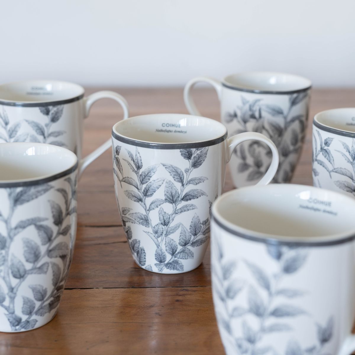 KLAPP - SET 6 MUGS PORCELANA COIHUE
