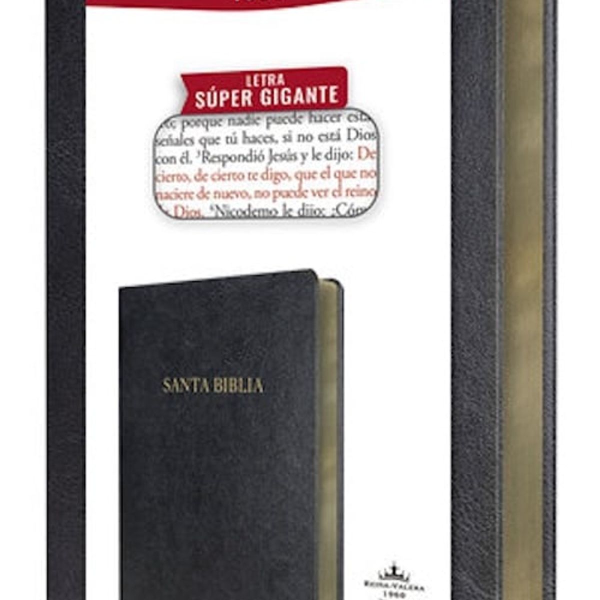 ORIGEN - Biblia Reina Valera 1960 letra súper gigante negro