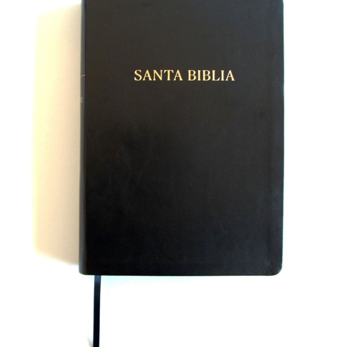 ORIGEN - Biblia Reina Valera 1960 letra súper gigante negro