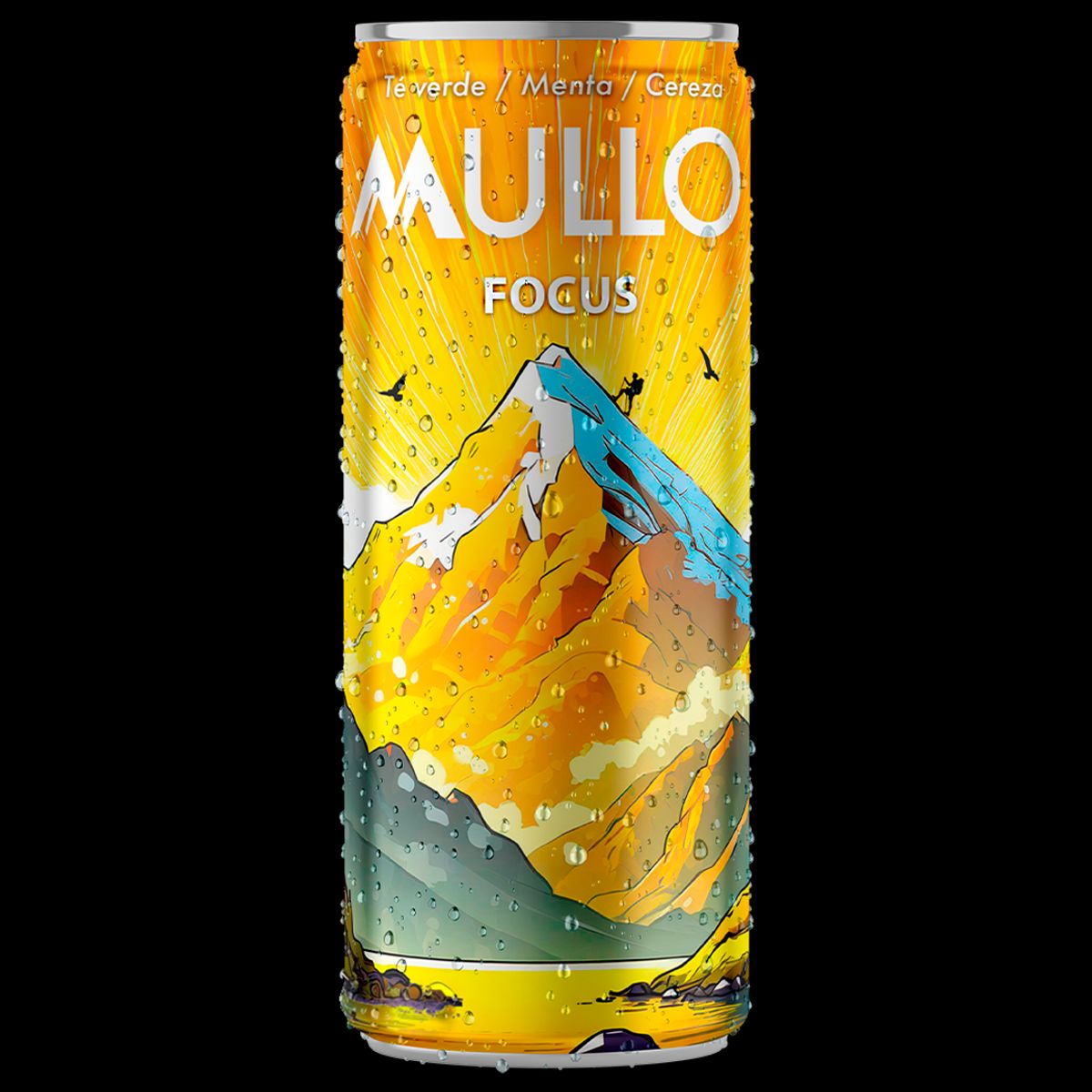 GENERICO - Pack 12 Mullo Focus