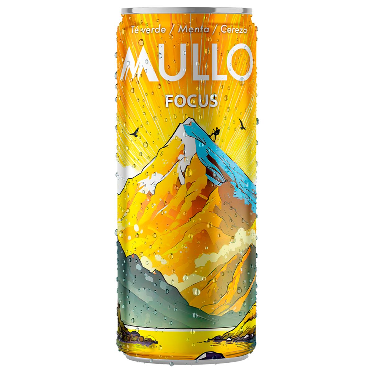 GENERICO - Pack 12 Mullo Focus