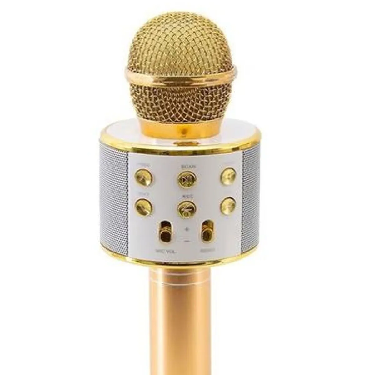 PROSOUND - KIT 2 MICROFONOS CON PARLANTE BLUETOOTH INALAMBRICO, RECARGABLES