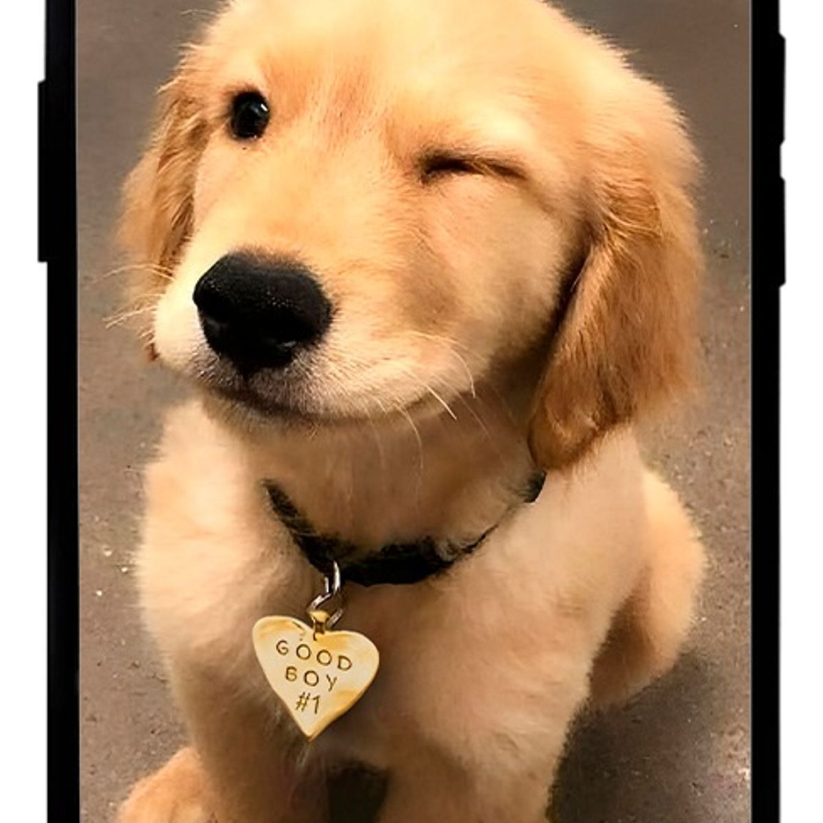 GENERICO - Carcasa para IPHONE 12 PRO MAX diseño 73