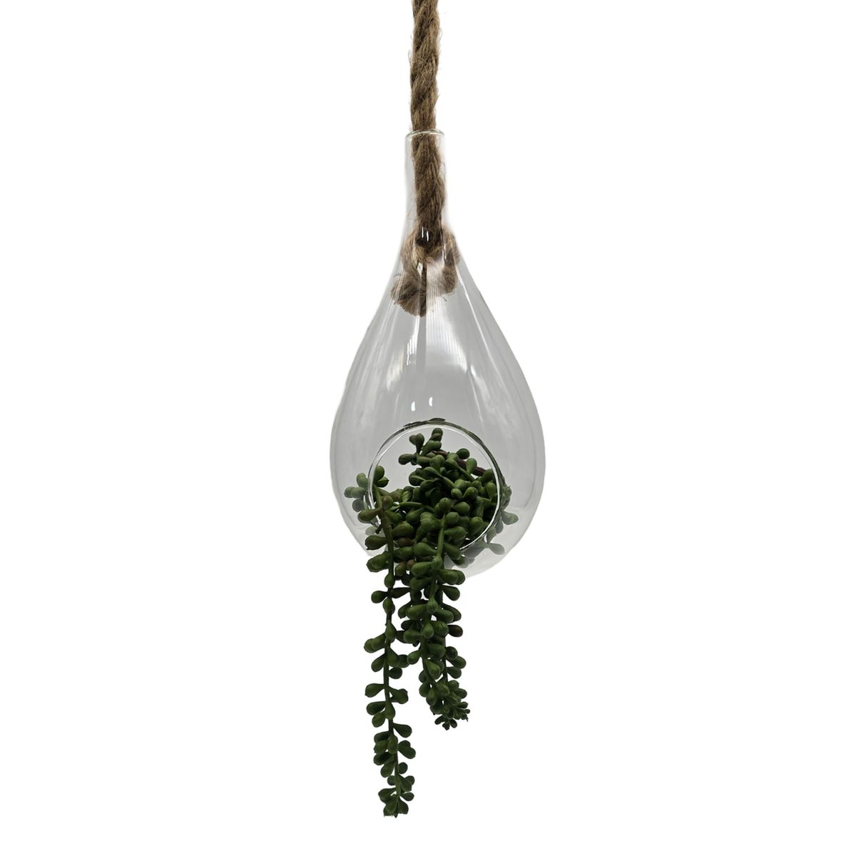 GENERICO - Terrario Colgante De Vidrio En Forma De Gota Para Plantas