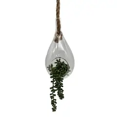 GENERICO - Terrario Colgante De Vidrio En Forma De Gota Para Plantas