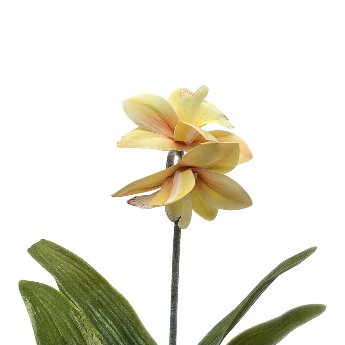 GENERICO - Planta Artificial Orquidea Amarilla Macetero De Ceramica