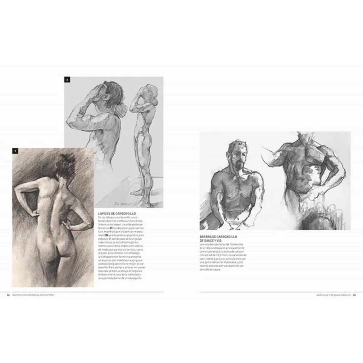 EDITORIAL CONTRAPUNTO - Anatomía humana esencial para artistas