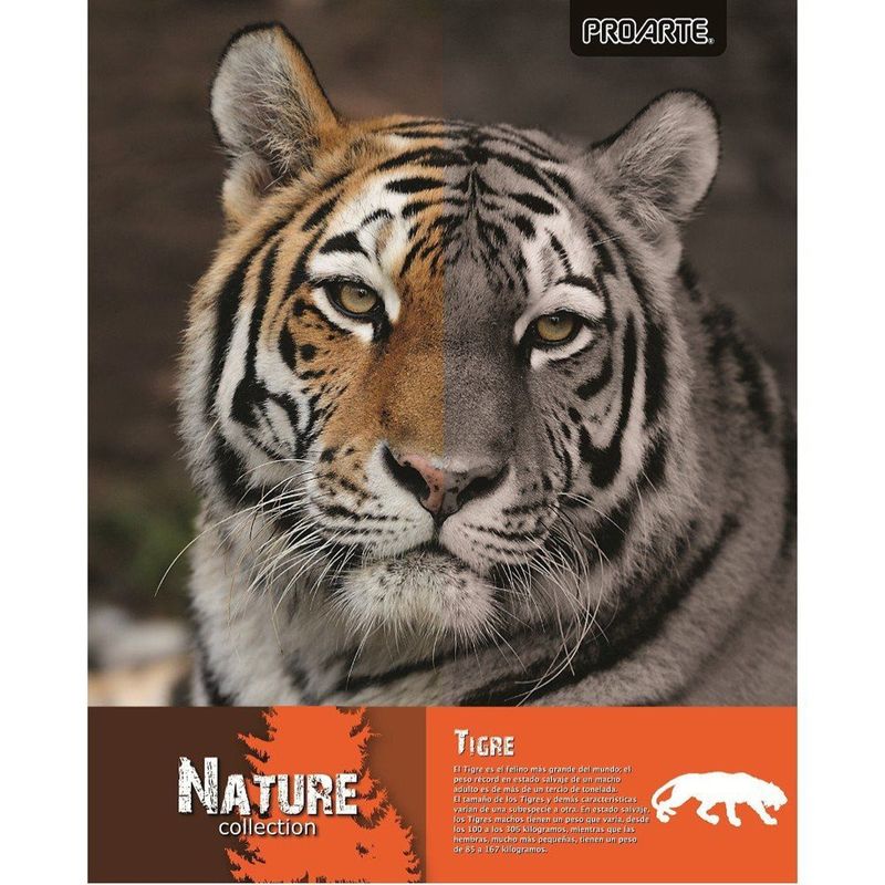 PROARTE - Cuaderno    Univ Proarte Ted Ed Nature 100 Hj 7Mm