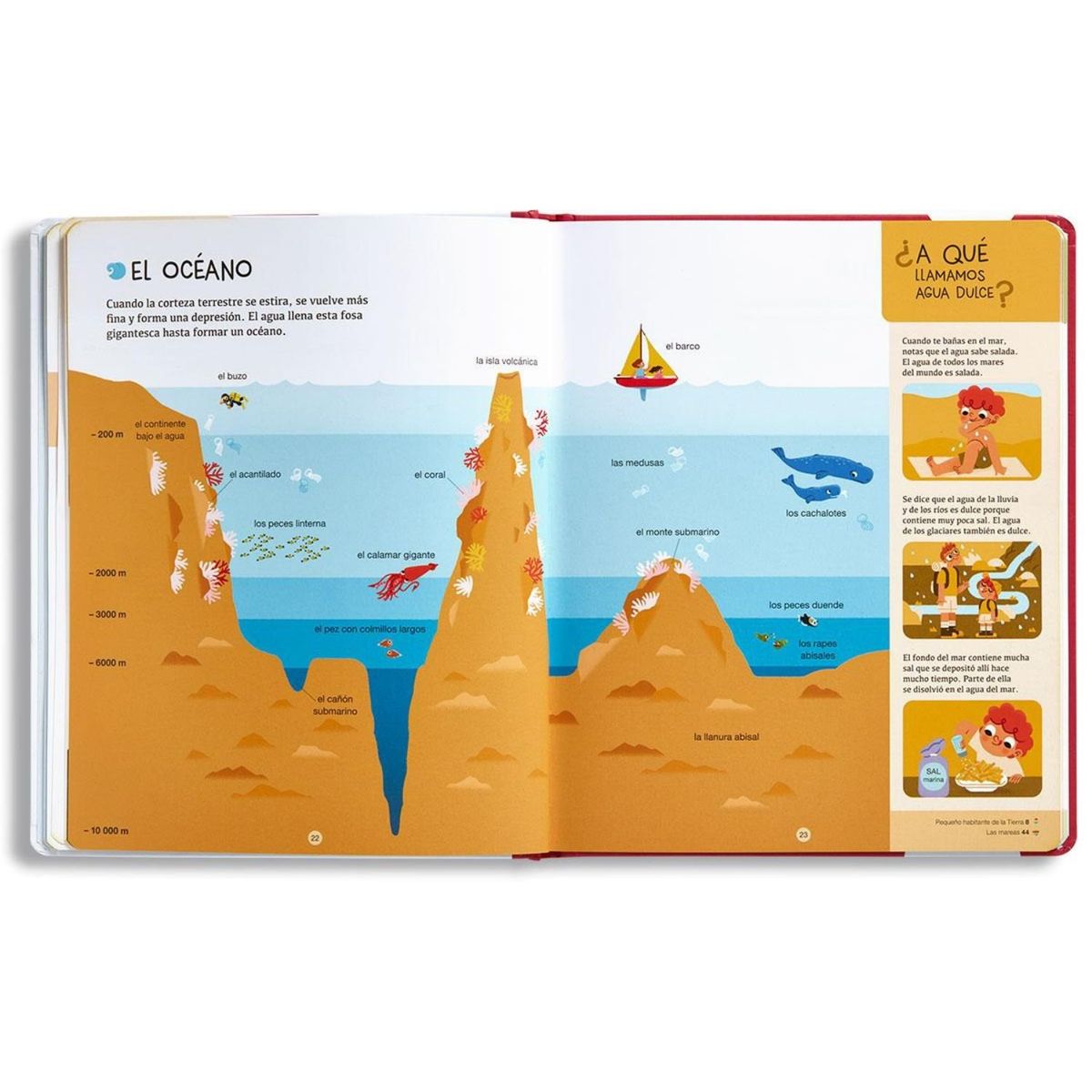 EDELVIVES - Biblioteca para mentes curiosas - La tierra