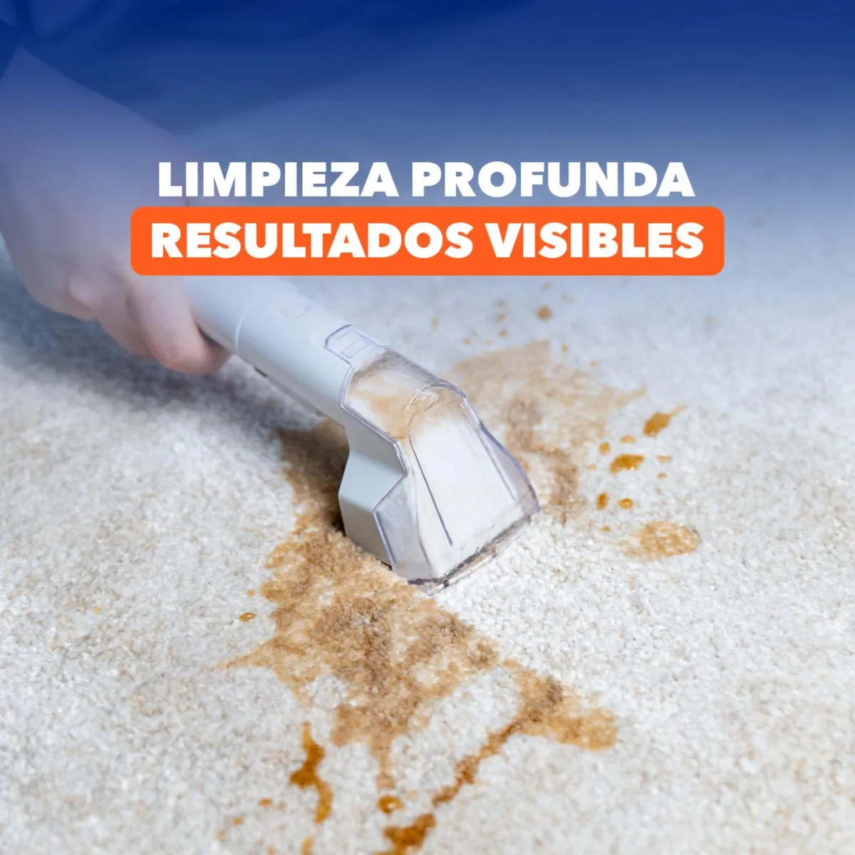 MAIER - Aspiradora Lava Tapiz Alfombras Maier HJ100