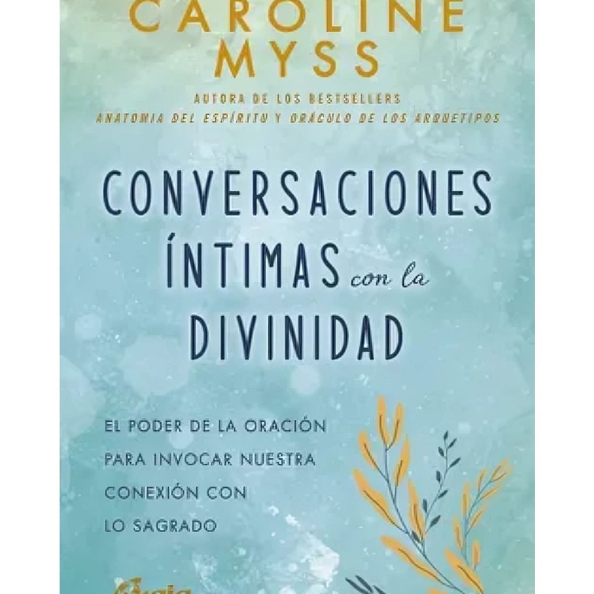 TOP10BOOKS - LIBRO Conversaciones Intimas Con La Divinidad - CAROLINE MYSS