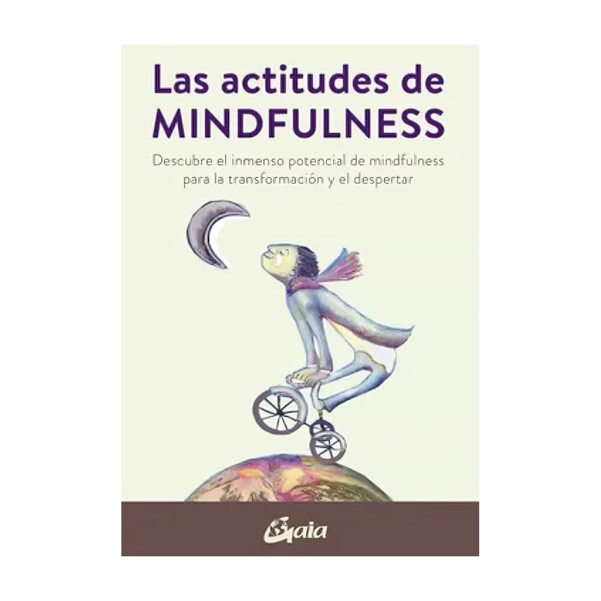 TOP10BOOKS - LIBRO Las Actitudes De Mindfulness - Las Actitudes De Mindfulness