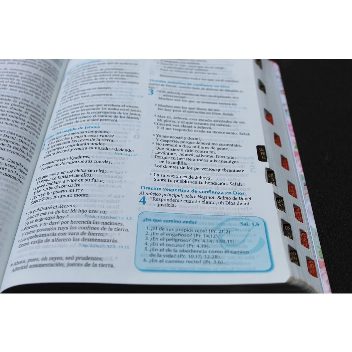 SOCIEDADES BIBLICAS UNIDAS - Biblia para la predicación Reina Valera 1960 verde mujer