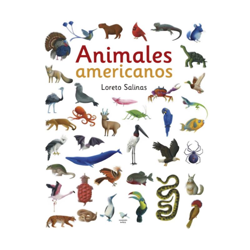 TOP10BOOKS - LIBRO ANIMALES AMERICANOS / LORETO SALINAS - MARIA PIA ESCOBAR / HUEDERS