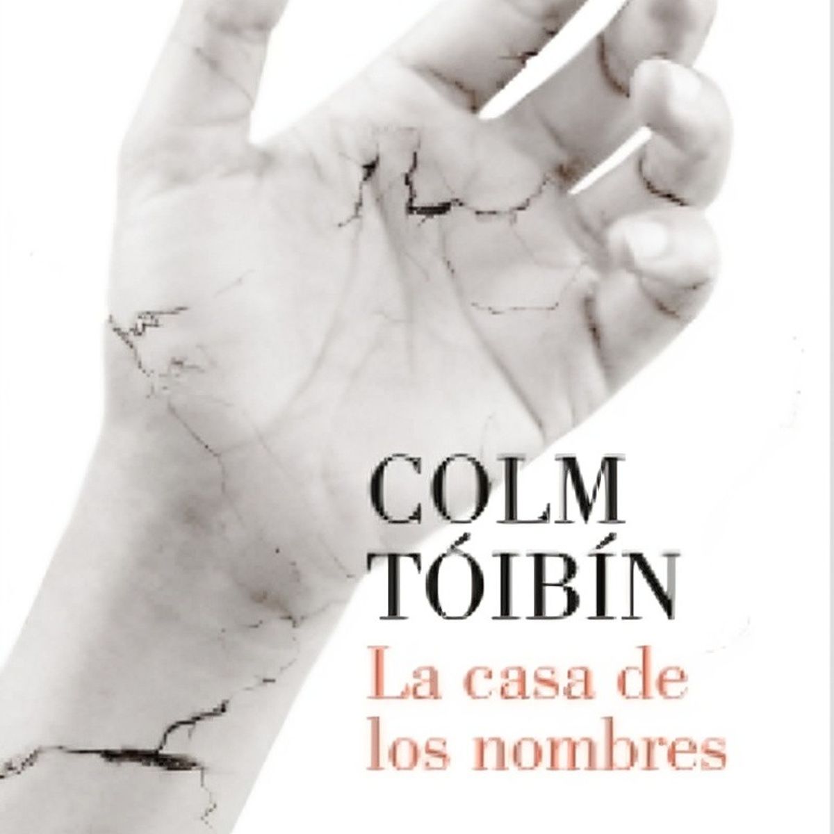 TOP10BOOKS - LIBRO La Casa De Los Nombres - La Casa De Los Nombres