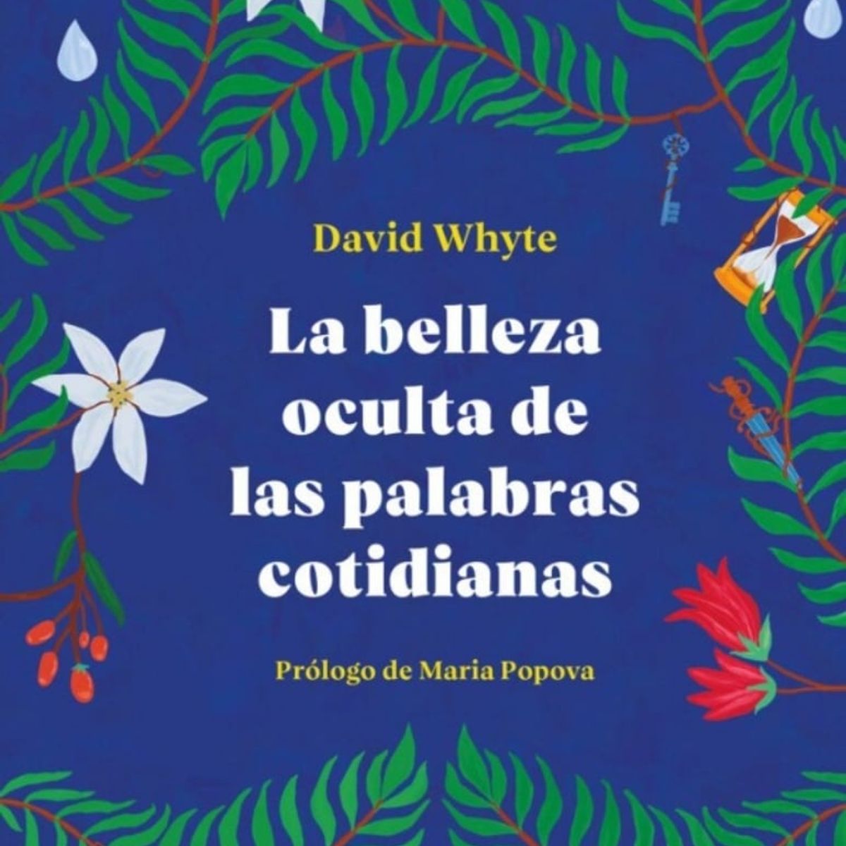 TOP10BOOKS - LIBRO La Belleza Oculta De Las Palabras Cotidianas