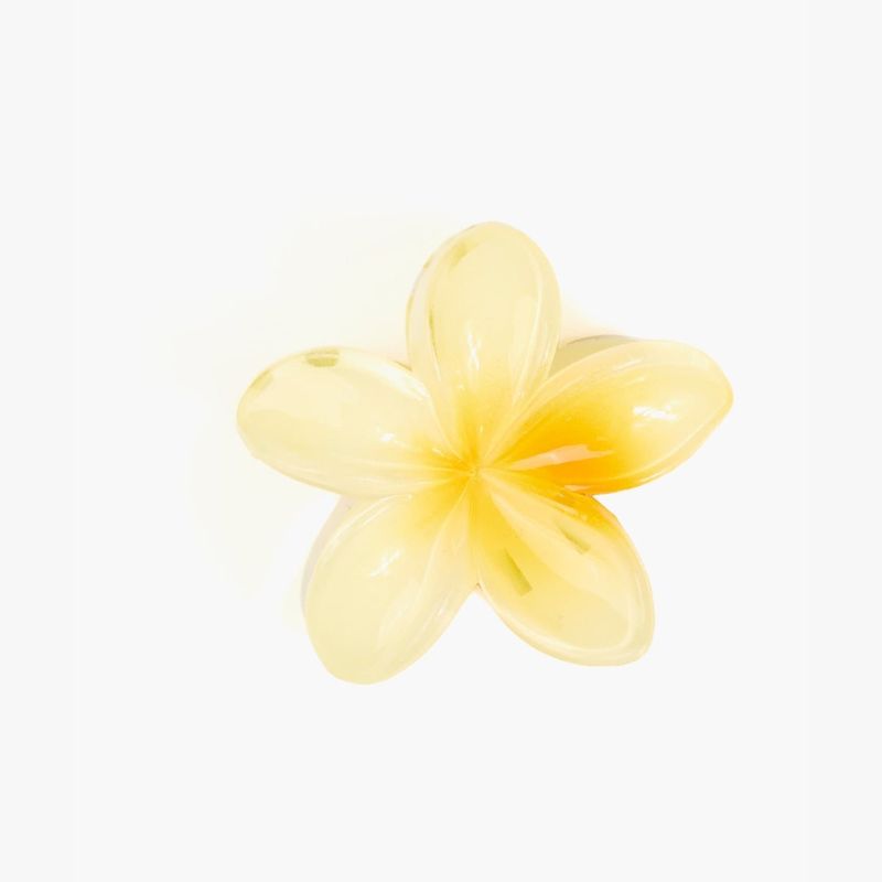 LOUNGE - Pinza Mujer Flor Tropical
