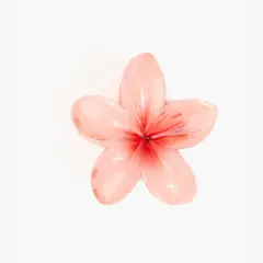 LOUNGE - Pinza Flor Tropical