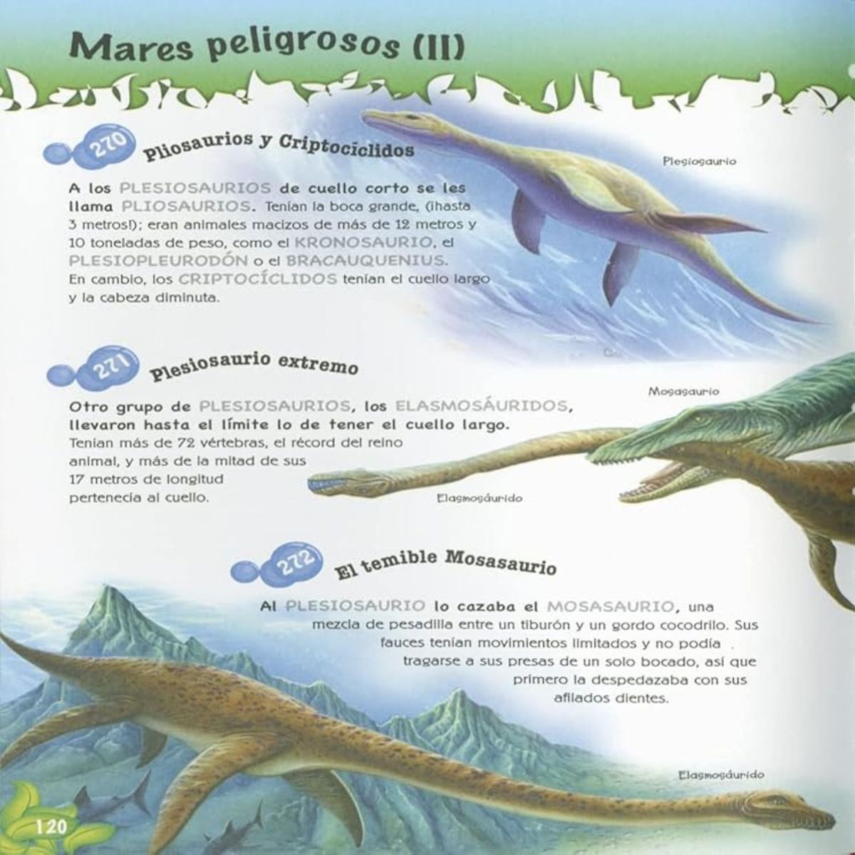 SUSAETA - 501 preguntas y respuestas sobre dinosaurios