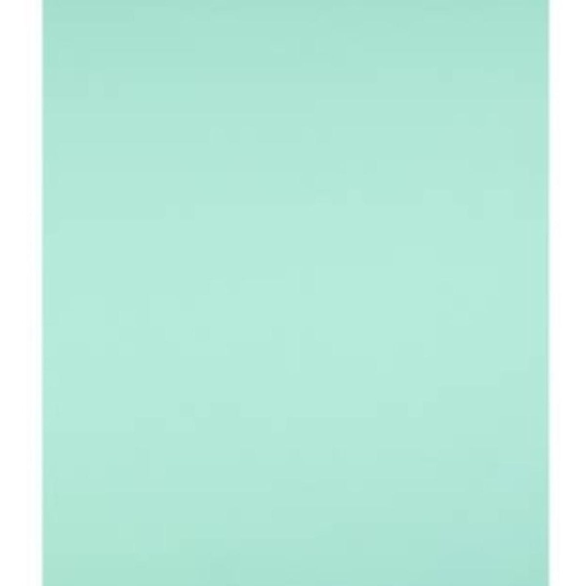 GENERICO - Cartulina De Colores Lisa Carta 240 Grs 100 Unid - Verde