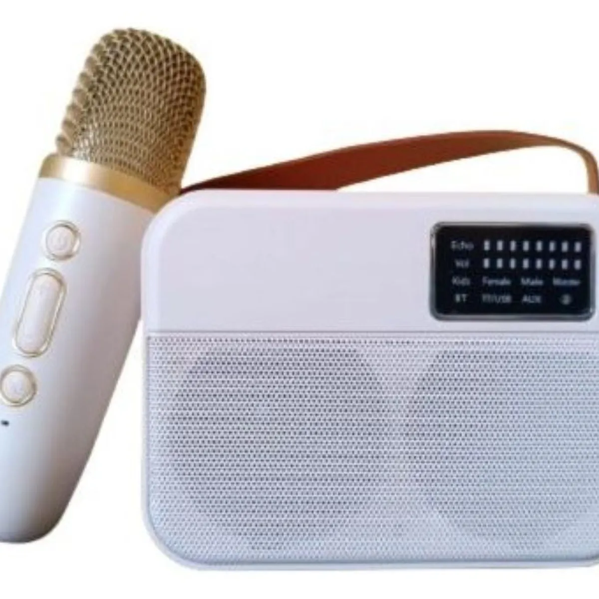 GENERICO - Parlantes Bluetooth Portátil Karaoke Mini Inalambrico