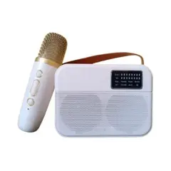 GENERICO - Parlantes Bluetooth Portátil Karaoke Mini Inalambrico